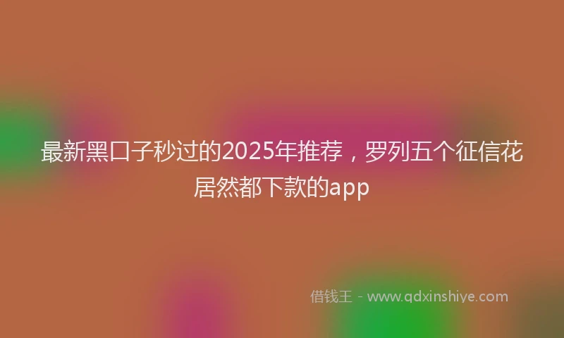 最新黑口子秒过的2025年推荐，罗列五个征信花居然都下款的app