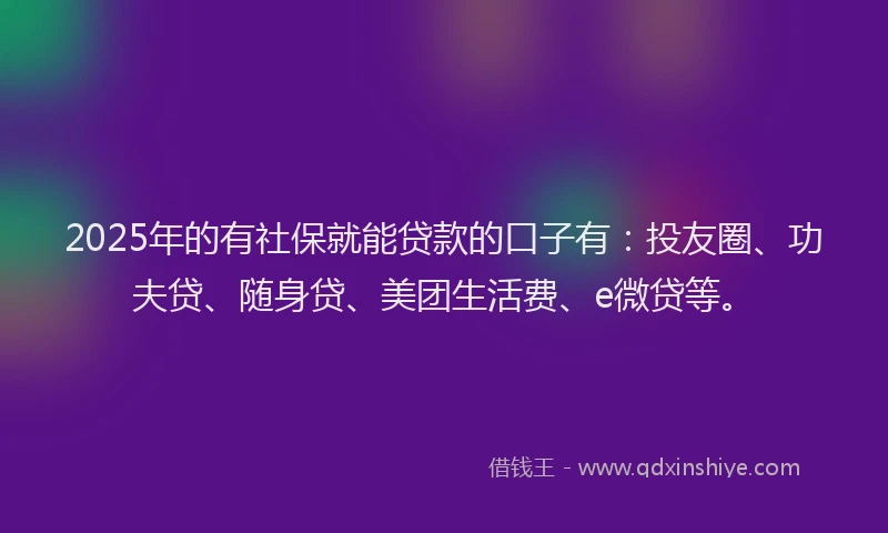 2025年的有社保就能贷款的口子有：投友圈、功夫贷、随身贷、美团生活费、e微贷等。