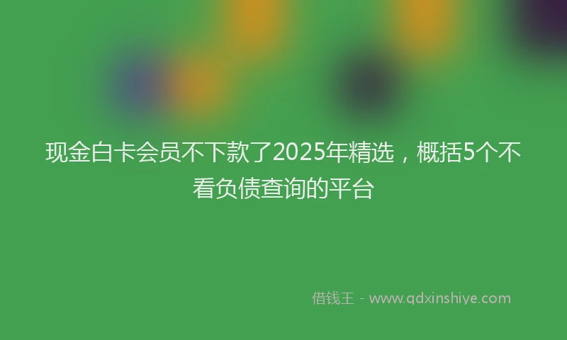 现金白卡会员不下款了2025年精选，概括5个不看负债查询的平台