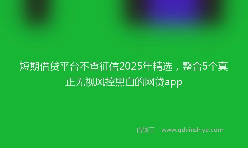 短期借贷平台不查征信2025年精选，整合5个真正无视风控黑白的网贷app