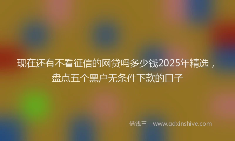 现在还有不看征信的网贷吗多少钱2025年精选，盘点五个黑户无条件下款的口子