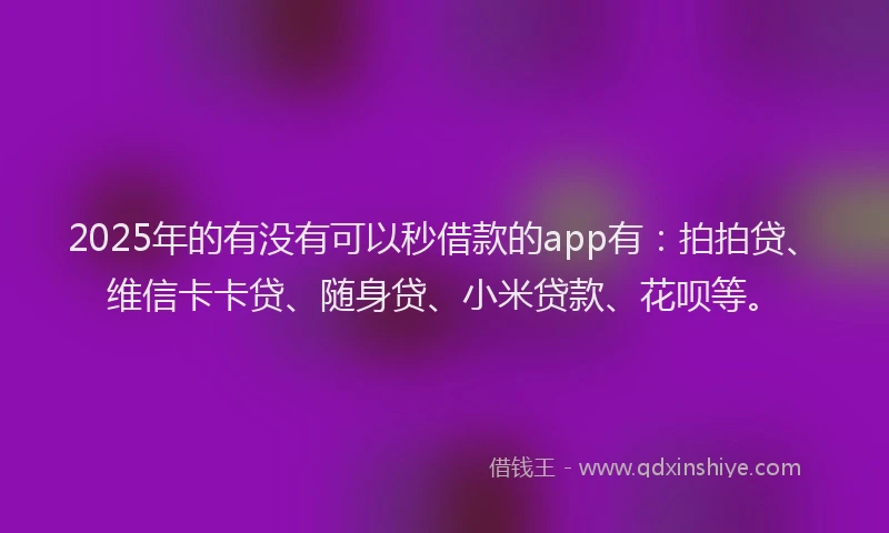 2025年的有没有可以秒借款的app有：拍拍贷、维信卡卡贷、随身贷、小米贷款、花呗等。