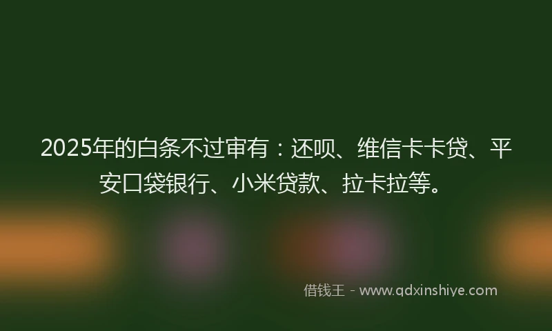 2025年的白条不过审有：还呗、维信卡卡贷、平安口袋银行、小米贷款、拉卡拉等。