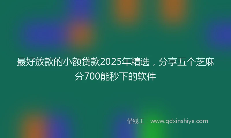 最好放款的小额贷款2025年精选，分享五个芝麻分700能秒下的软件