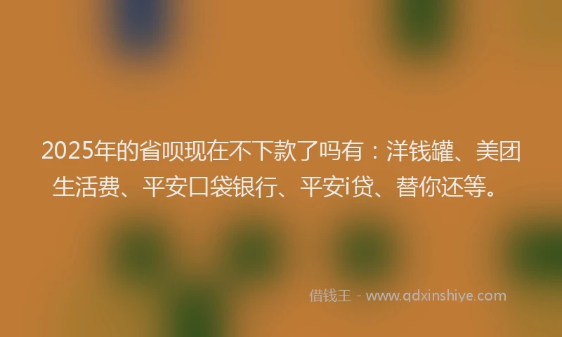 2025年的省呗现在不下款了吗有：洋钱罐、美团生活费、平安口袋银行、平安i贷、替你还等。