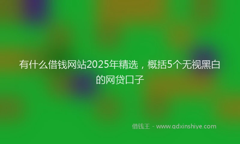 有什么借钱网站2025年精选，概括5个无视黑白的网贷口子