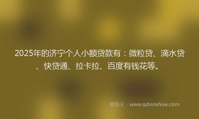 2025年的济宁个人小额贷款有：微粒贷、滴水贷、快贷通、拉卡拉、百度有钱花等。