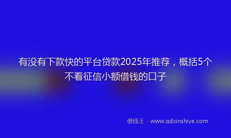 有没有下款快的平台贷款2025年推荐，概括5个不看征信小额借钱的口子