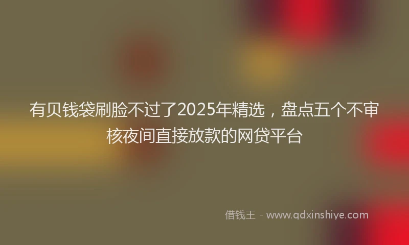 有贝钱袋刷脸不过了2025年精选，盘点五个不审核夜间直接放款的网贷平台