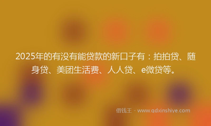 2025年的有没有能贷款的新口子有：拍拍贷、随身贷、美团生活费、人人贷、e微贷等。