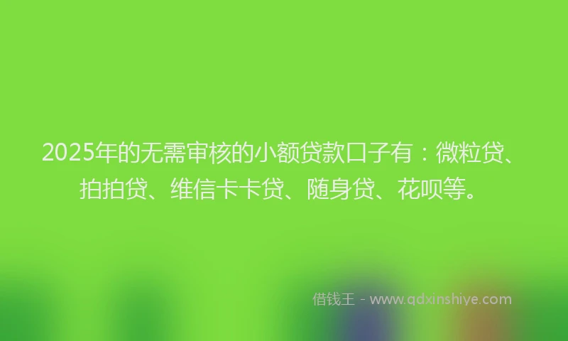 2025年的无需审核的小额贷款口子有：微粒贷、拍拍贷、维信卡卡贷、随身贷、花呗等。