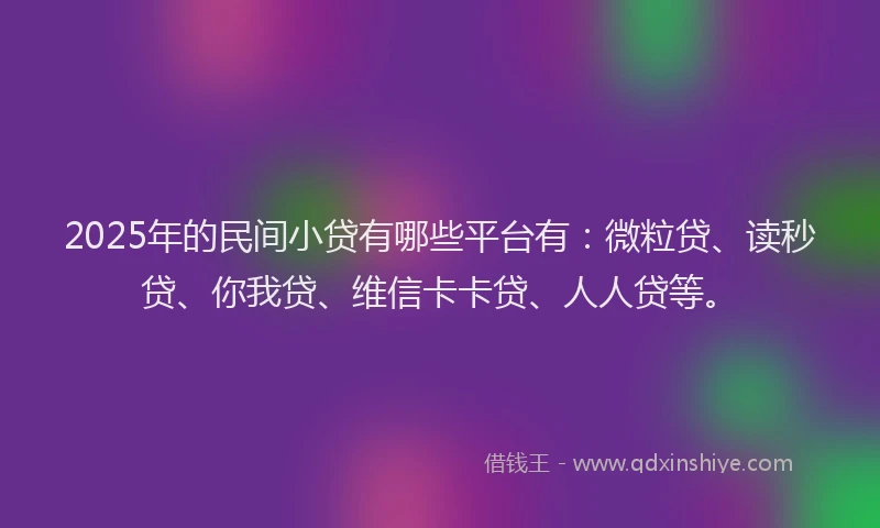 2025年的民间小贷有哪些平台有：微粒贷、读秒贷、你我贷、维信卡卡贷、人人贷等。