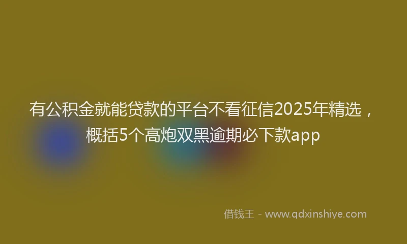 有公积金就能贷款的平台不看征信2025年精选，概括5个高炮双黑逾期必下款app