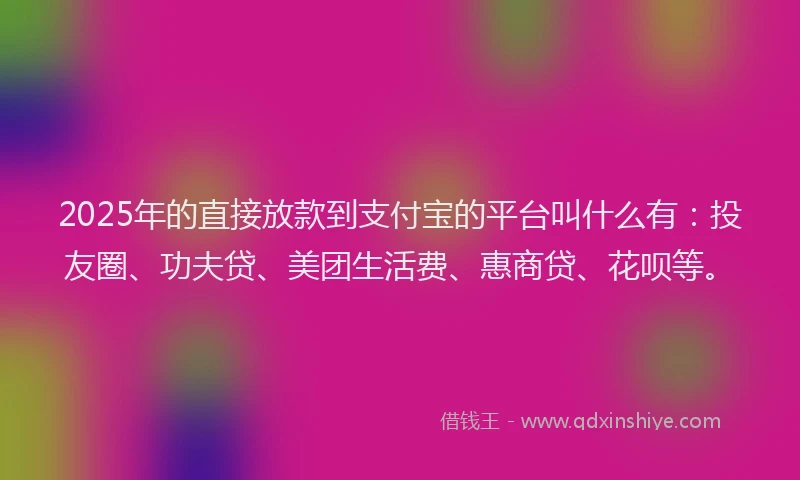 2025年的直接放款到支付宝的平台叫什么有：投友圈、功夫贷、美团生活费、惠商贷、花呗等。
