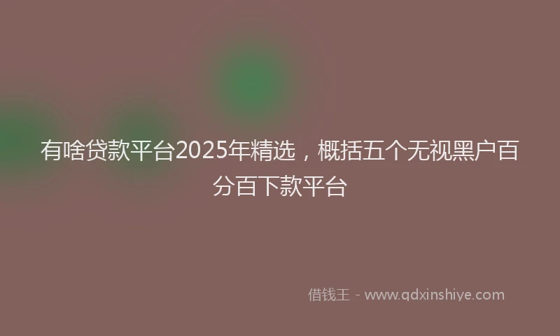 有啥贷款平台2025年精选，概括五个无视黑户百分百下款平台