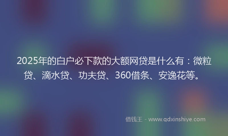 2025年的白户必下款的大额网贷是什么有：微粒贷、滴水贷、功夫贷、360借条、安逸花等。