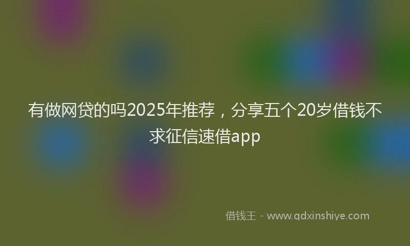 有做网贷的吗2025年推荐，分享五个20岁借钱不求征信速借app