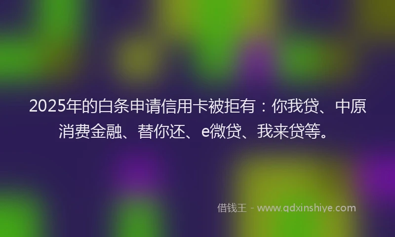 2025年的白条申请信用卡被拒有：你我贷、中原消费金融、替你还、e微贷、我来贷等。