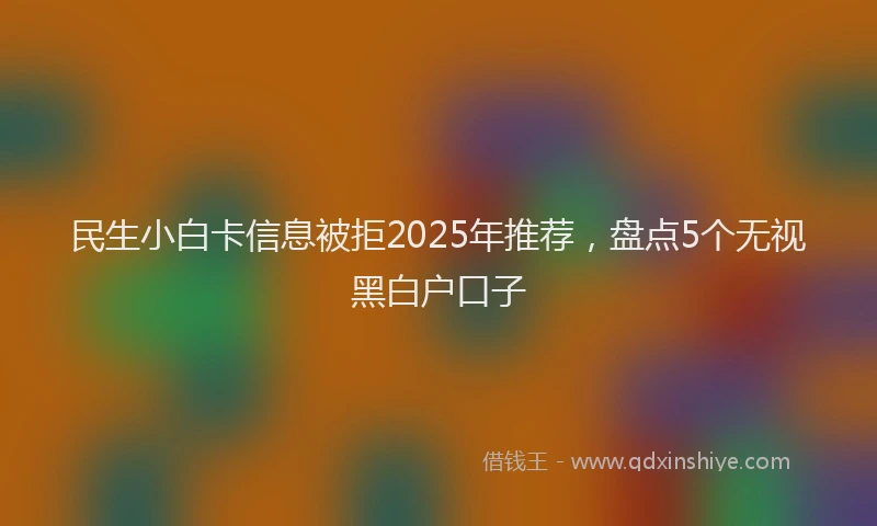 民生小白卡信息被拒2025年推荐，盘点5个无视黑白户口子