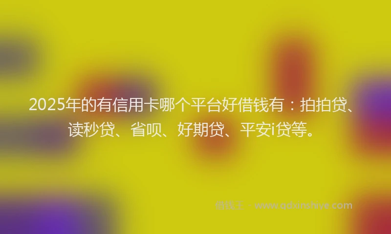 2025年的有信用卡哪个平台好借钱有：拍拍贷、读秒贷、省呗、好期贷、平安i贷等。