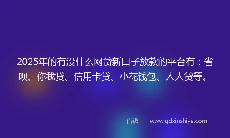 2025年的有没什么网贷新口子放款的平台有：省呗、你我贷、信用卡贷、小花钱包、人人贷等。