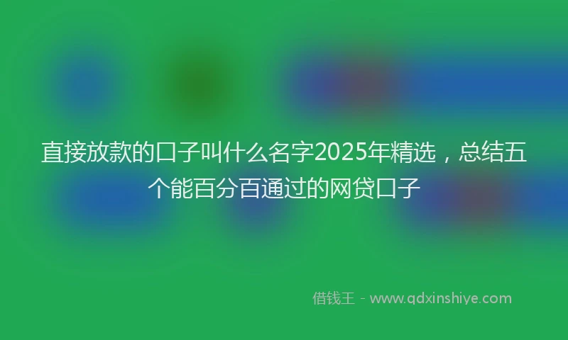 直接放款的口子叫什么名字2025年精选，总结五个能百分百通过的网贷口子
