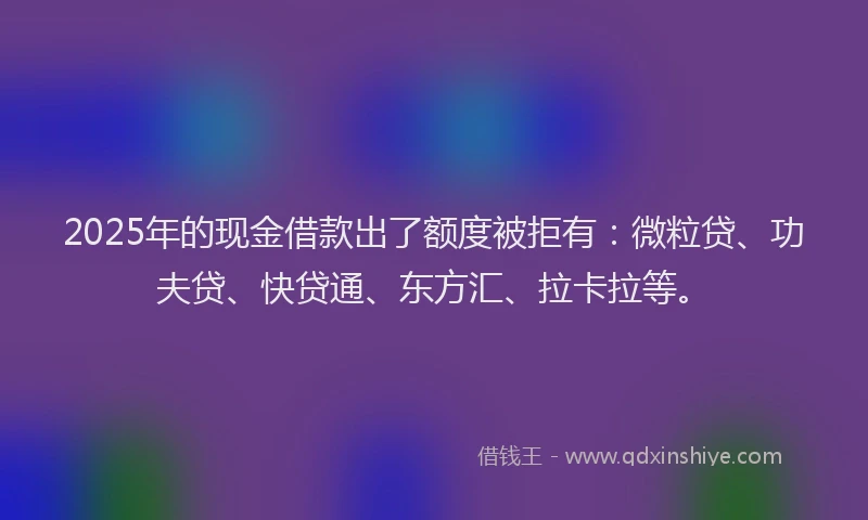 2025年的现金借款出了额度被拒有：微粒贷、功夫贷、快贷通、东方汇、拉卡拉等。