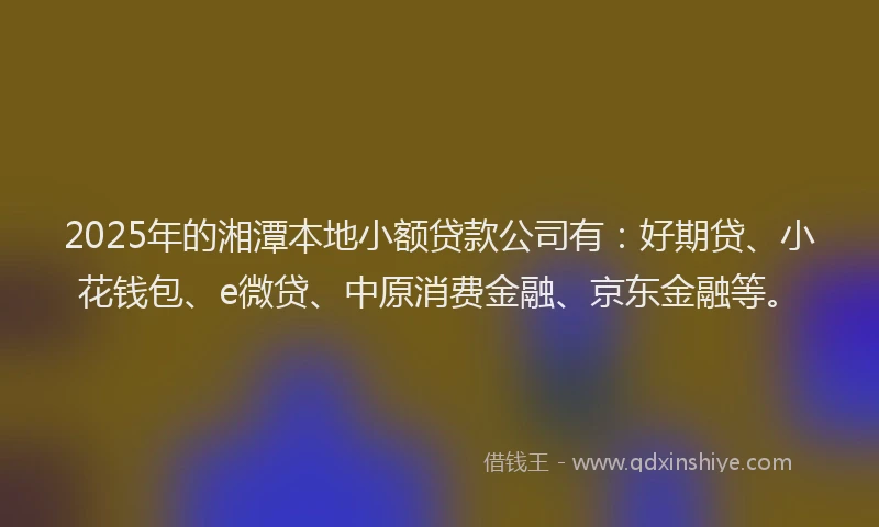 2025年的湘潭本地小额贷款公司有：好期贷、小花钱包、e微贷、中原消费金融、京东金融等。