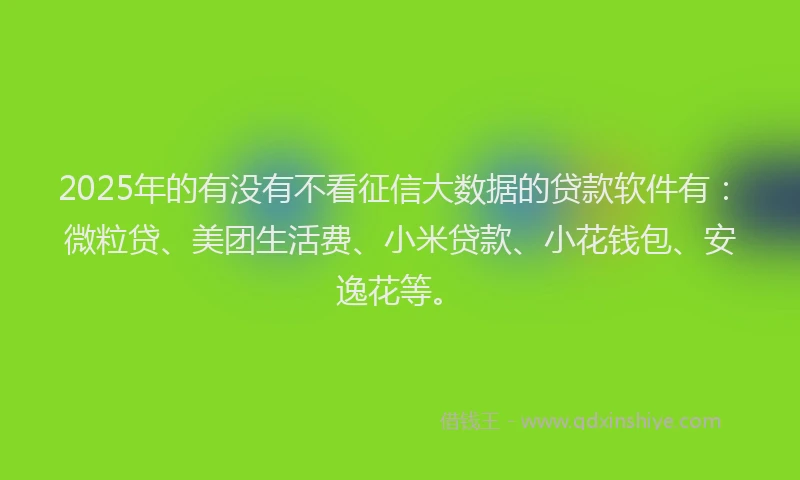 2025年的有没有不看征信大数据的贷款软件有：微粒贷、美团生活费、小米贷款、小花钱包、安逸花等。