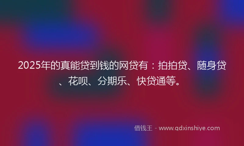 2025年的真能贷到钱的网贷有：拍拍贷、随身贷、花呗、分期乐、快贷通等。