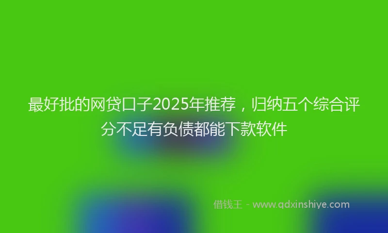 最好批的网贷口子2025年推荐，归纳五个综合评分不足有负债都能下款软件