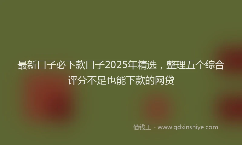 最新口子必下款口子2025年精选，整理五个综合评分不足也能下款的网贷