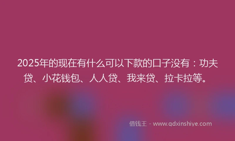 2025年的现在有什么可以下款的口子没有：功夫贷、小花钱包、人人贷、我来贷、拉卡拉等。