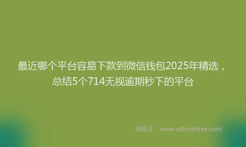 最近哪个平台容易下款到微信钱包2025年精选，总结5个714无视逾期秒下的平台