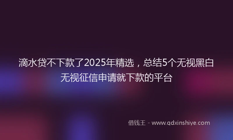 滴水贷不下款了2025年精选，总结5个无视黑白无视征信申请就下款的平台