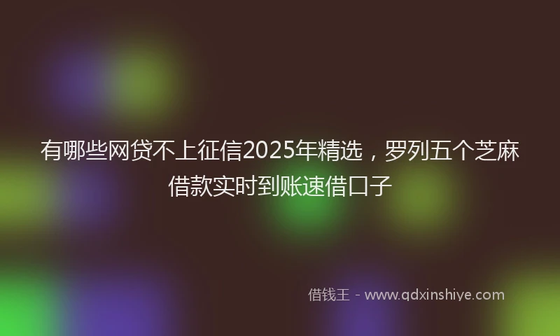 有哪些网贷不上征信2025年精选，罗列五个芝麻借款实时到账速借口子