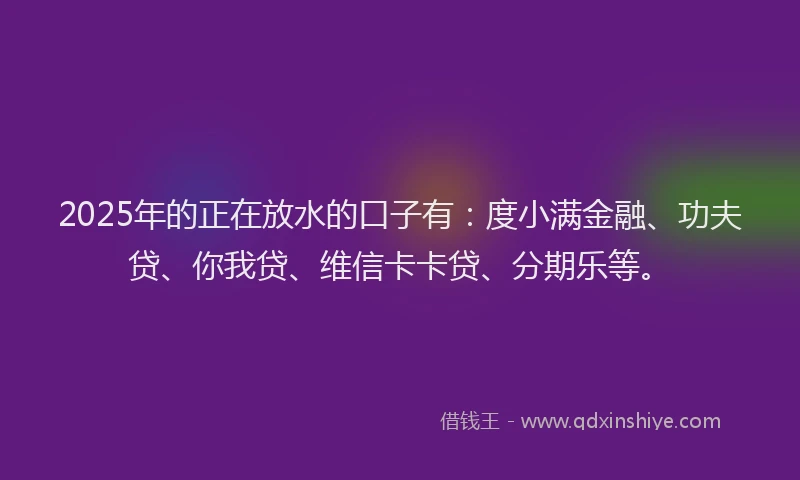 2025年的正在放水的口子有：度小满金融、功夫贷、你我贷、维信卡卡贷、分期乐等。