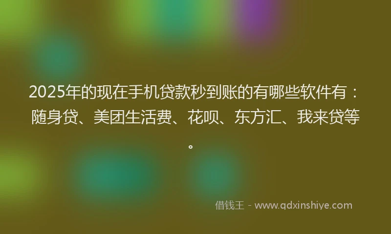 2025年的现在手机贷款秒到账的有哪些软件有：随身贷、美团生活费、花呗、东方汇、我来贷等。
