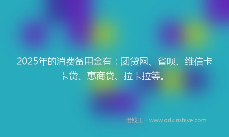 2025年的消费备用金有：团贷网、省呗、维信卡卡贷、惠商贷、拉卡拉等。