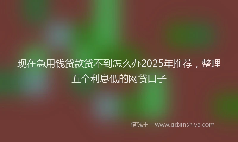 现在急用钱贷款贷不到怎么办2025年推荐，整理五个利息低的网贷口子