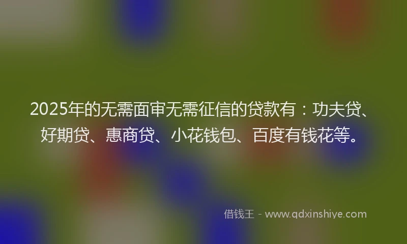 2025年的无需面审无需征信的贷款有：功夫贷、好期贷、惠商贷、小花钱包、百度有钱花等。
