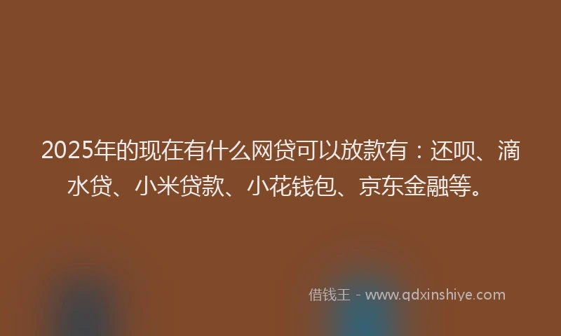 2025年的现在有什么网贷可以放款有：还呗、滴水贷、小米贷款、小花钱包、京东金融等。