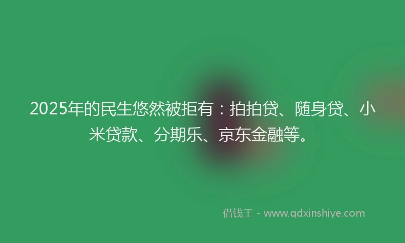2025年的民生悠然被拒有：拍拍贷、随身贷、小米贷款、分期乐、京东金融等。