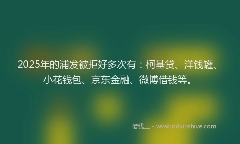 2025年的浦发被拒好多次有：柯基贷、洋钱罐、小花钱包、京东金融、微博借钱等。