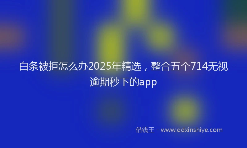 白条被拒怎么办2025年精选，整合五个714无视逾期秒下的app