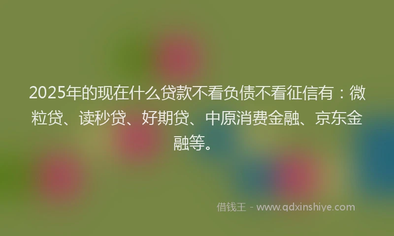 2025年的现在什么贷款不看负债不看征信有：微粒贷、读秒贷、好期贷、中原消费金融、京东金融等。