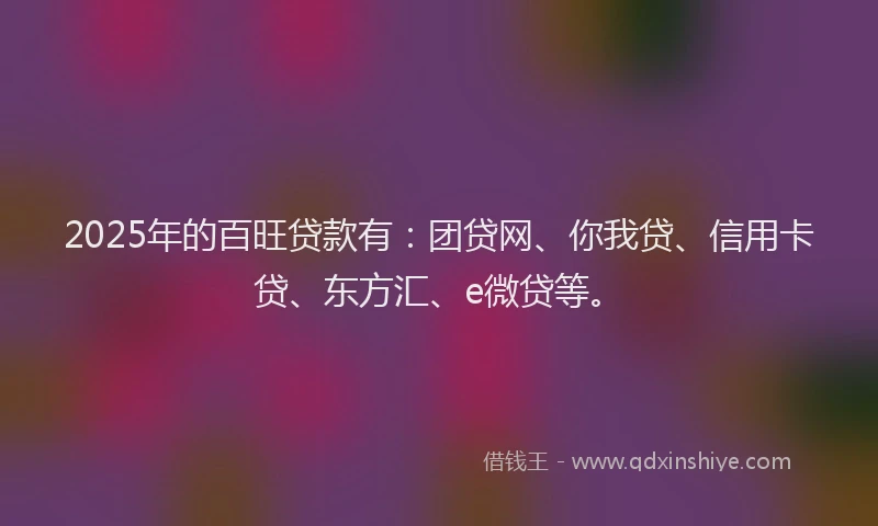 2025年的百旺贷款有：团贷网、你我贷、信用卡贷、东方汇、e微贷等。
