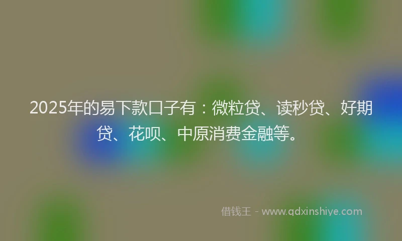 2025年的易下款口子有：微粒贷、读秒贷、好期贷、花呗、中原消费金融等。