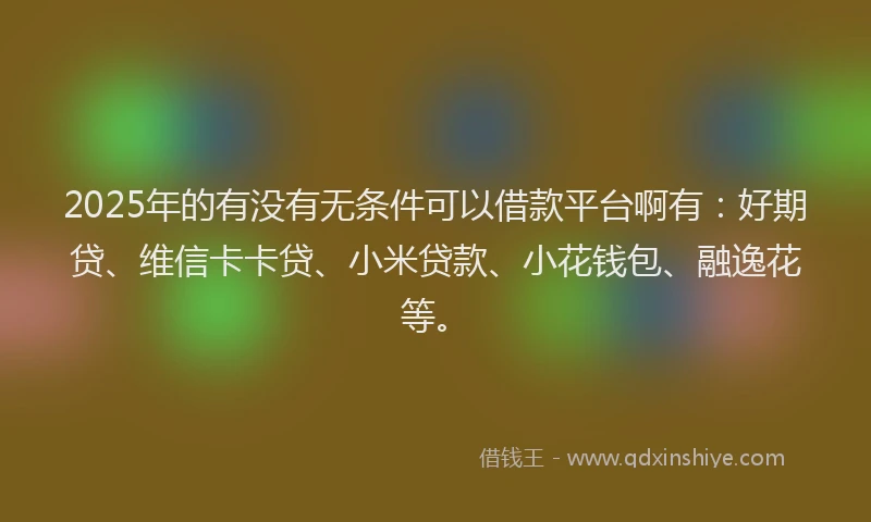 2025年的有没有无条件可以借款平台啊有：好期贷、维信卡卡贷、小米贷款、小花钱包、融逸花等。