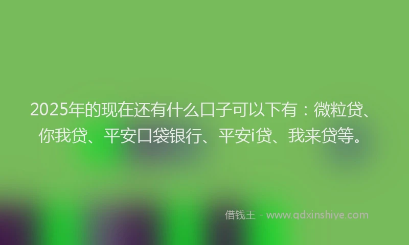 2025年的现在还有什么口子可以下有：微粒贷、你我贷、平安口袋银行、平安i贷、我来贷等。